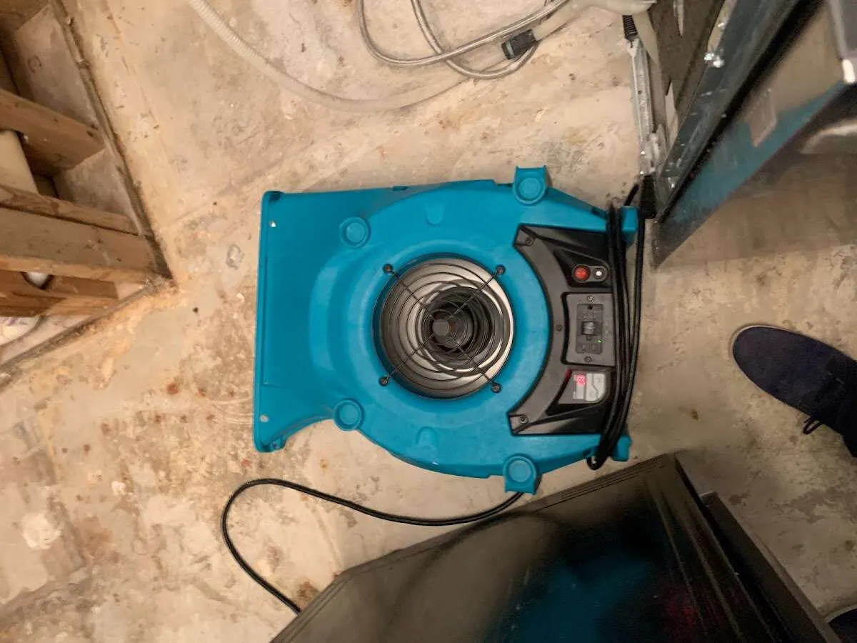 Air mover drying equipment for Mold Remediation & Removal in Ridley Park