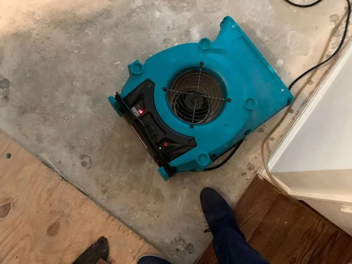 Air mover drying subfloor during Leak Detection & Repair in Ridley Park